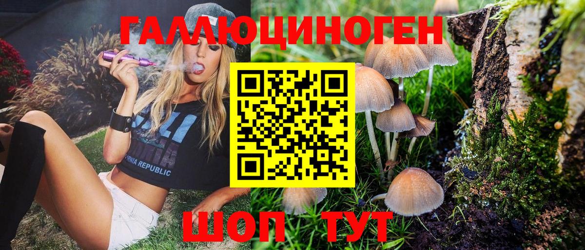Псилоцибиновые грибы Psilocybe Лениногорск