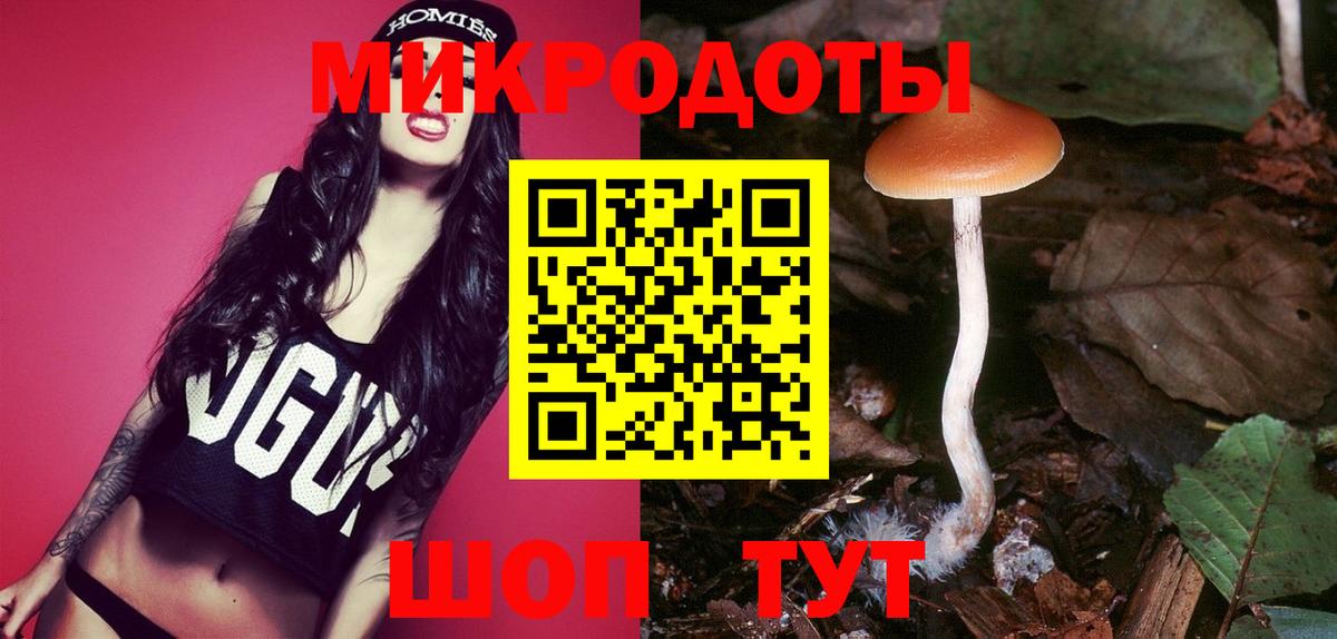 Лениногорск  Псилоцибиновые грибы MAGIC MUSHROOMS  Псилоцибиновые грибы мухоморы  Вход с VPN 